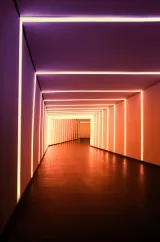 How to Navigate the Challenges of B2B SaaS Business Growth in a Competitive Market: 5 Solutions