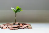 Why a Financial Advisor Marketing Agency Is Your Ultimate Growth Weapon