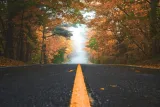 How B2B Marketing Agencies Foster Business Growth