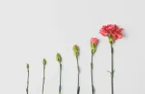Entity-First SEO: Building a Public Knowledge Graph That LLMs Can Actually Use