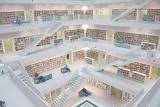 The Developer Content Hierarchy: Which Format Actually Converts and When?