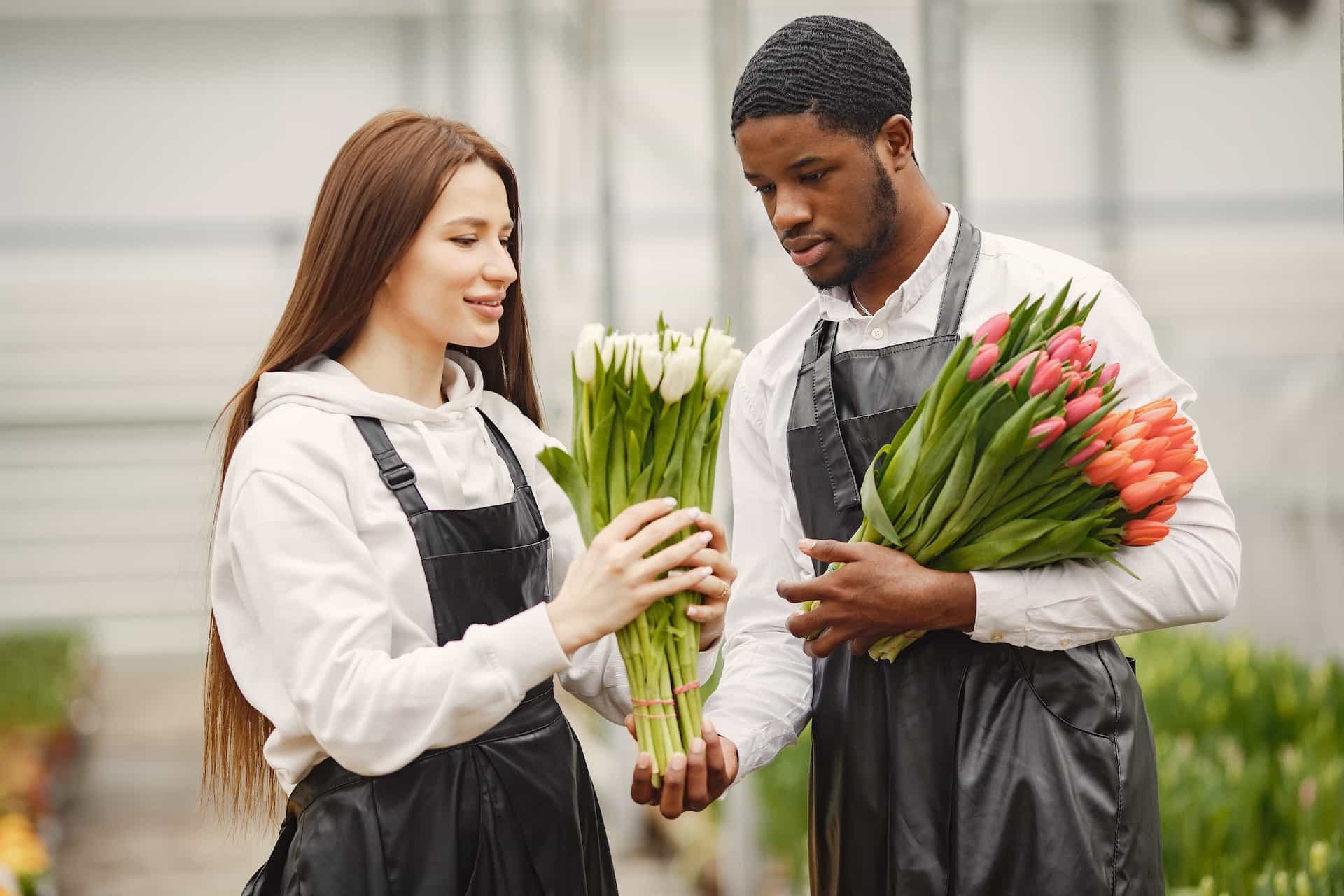 Why Your Professional Service Firm Needs a Marketing Agency