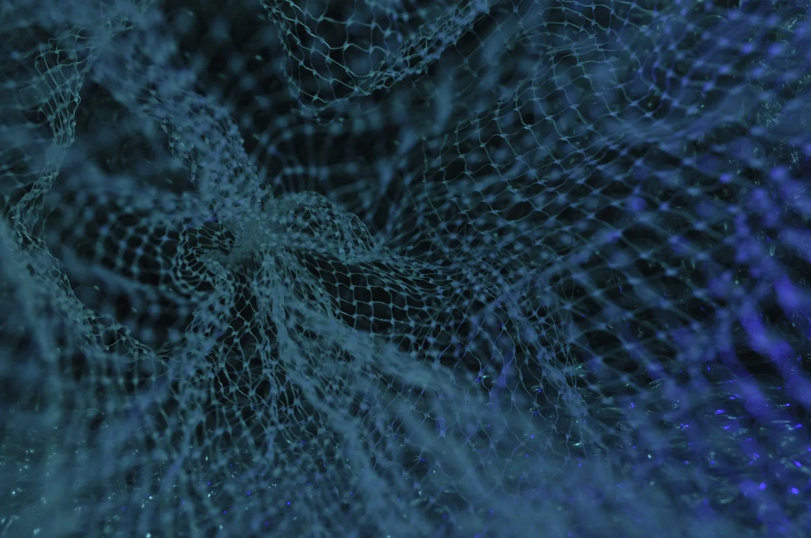 5 Reasons Why Your Business Needs a Good Database