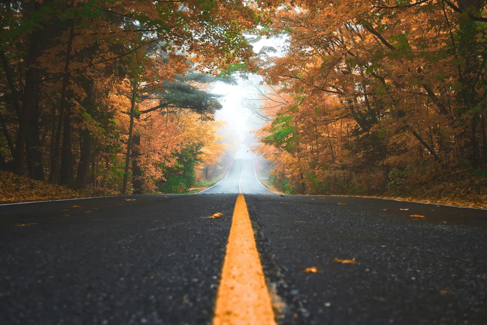 How B2B Marketing Agencies Foster Business Growth