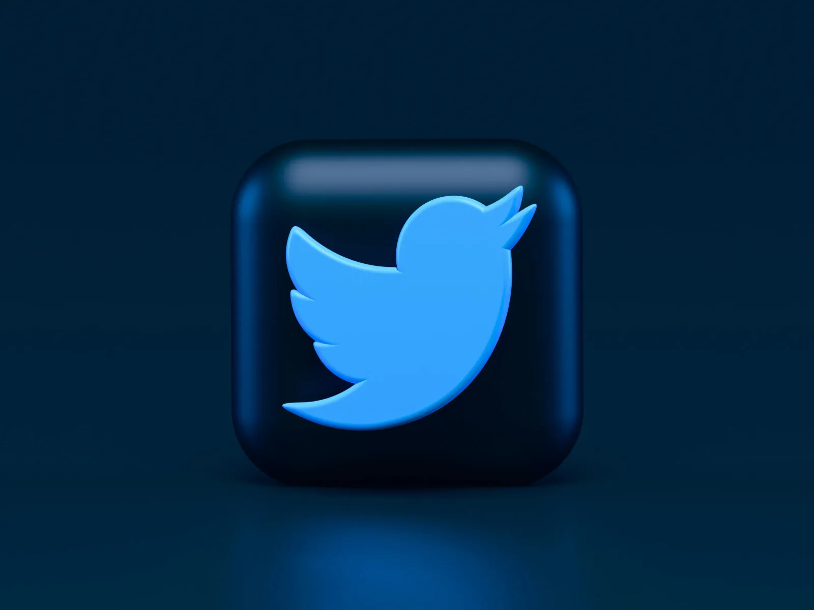 Twitter Ads: Learn the Easy Way