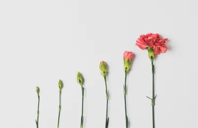 Entity-First SEO: Building a Public Knowledge Graph That LLMs Can Actually Use