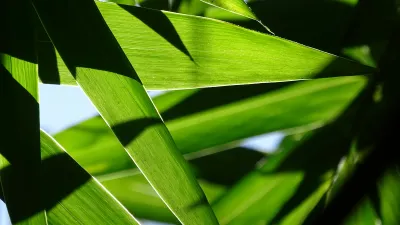 Eco-Friendly Marketing for the Conscious Brand