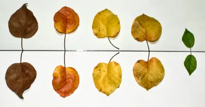 What You Need to Know About Usage-Based Pricing
